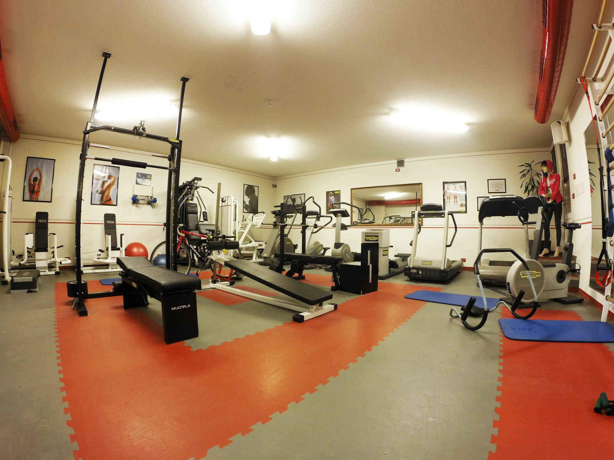 Francesin Active